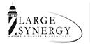 Large Synergy Logo