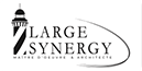 Large Synergy Logo